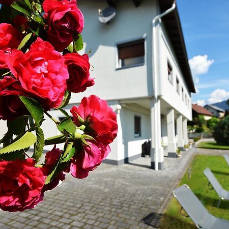 Alpenblick - Modernes Und Grosszuegiges Apartment فيلاخ المظهر الخارجي الصورة